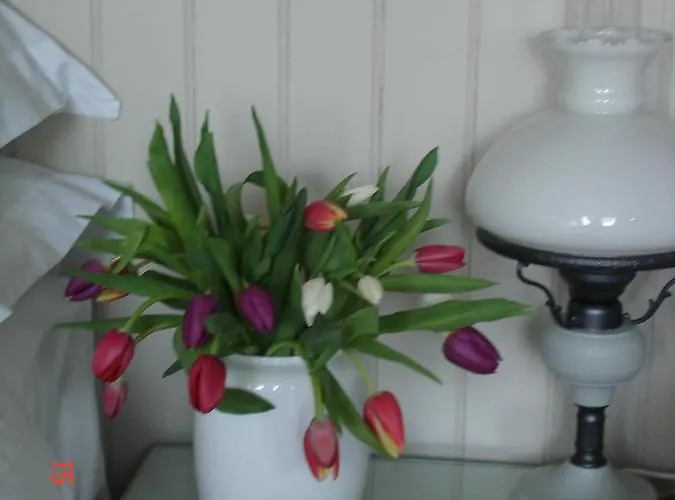 Waterside Bed & Breakfast Knaresborough